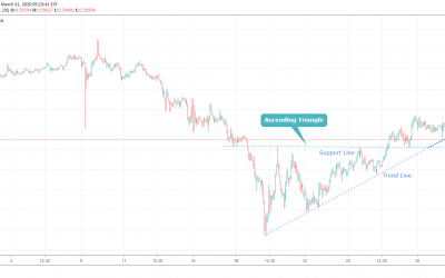 NZDUSD at Trend Line Support Level.